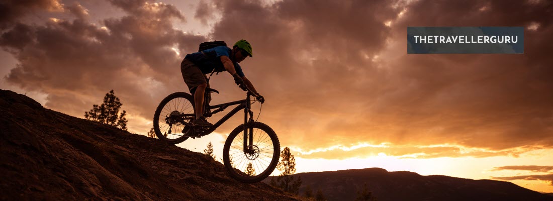 3 Best Mountain Bike Travel Cases