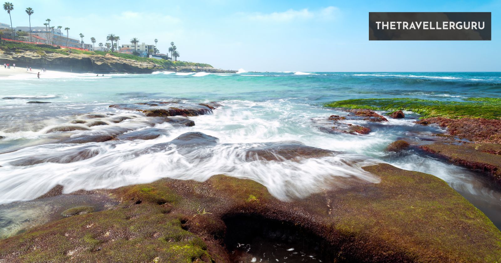 5 Best Tide Pools in San Diego