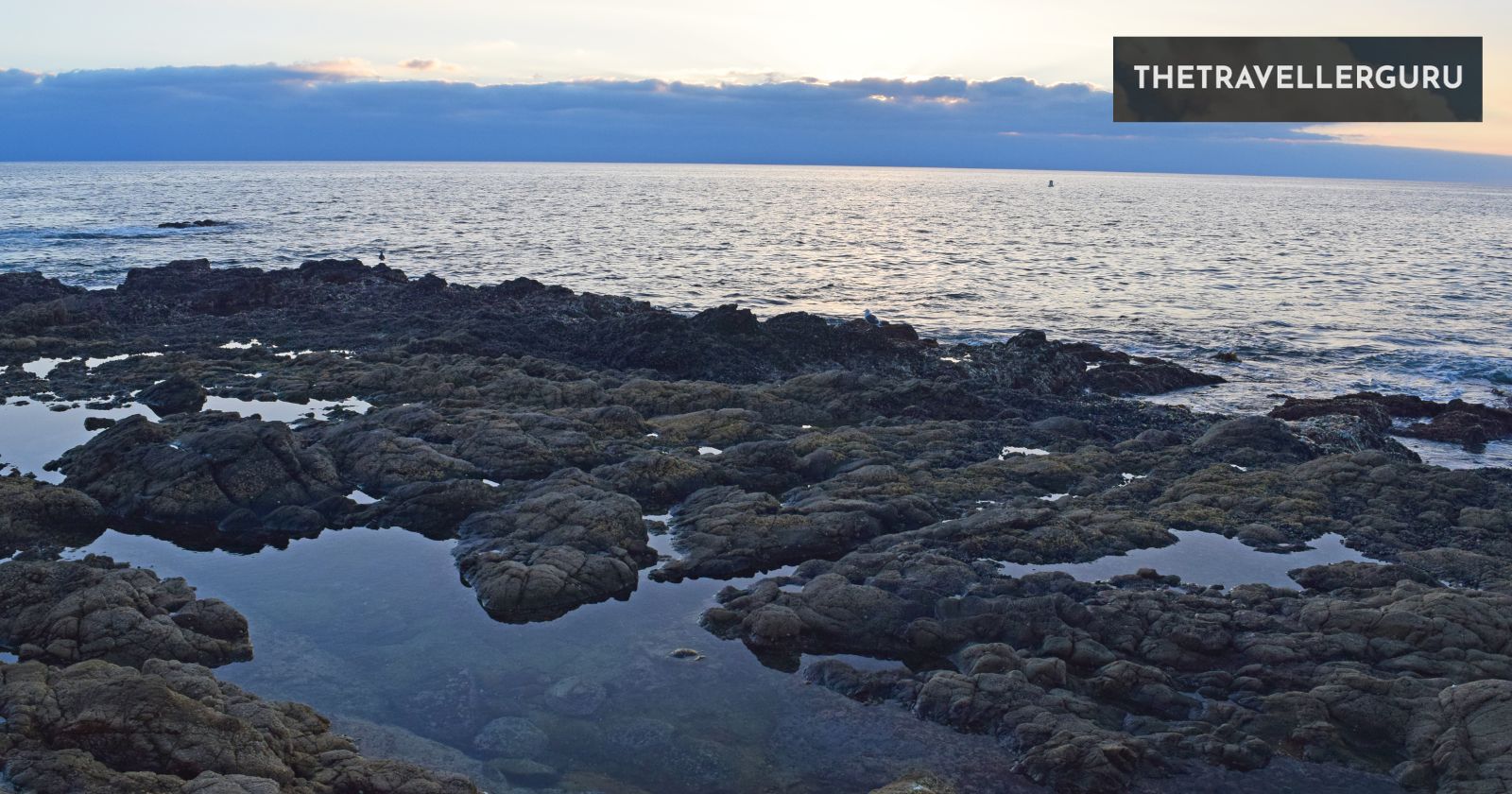 6 Best Tide Pools in California