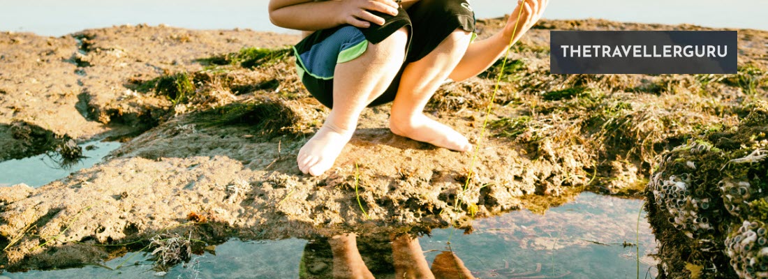 Best Tide Pools in California - header