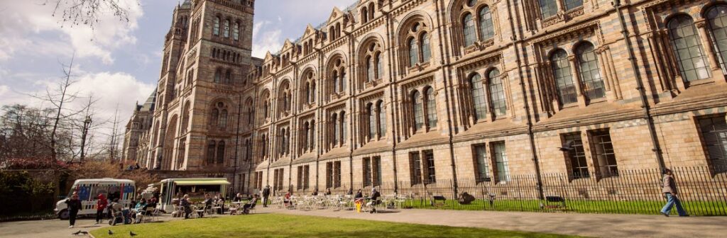 Things to Do in London for Free - National History Museum