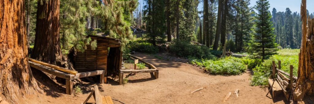 Best Campgrounds in California - Sequoia National Park