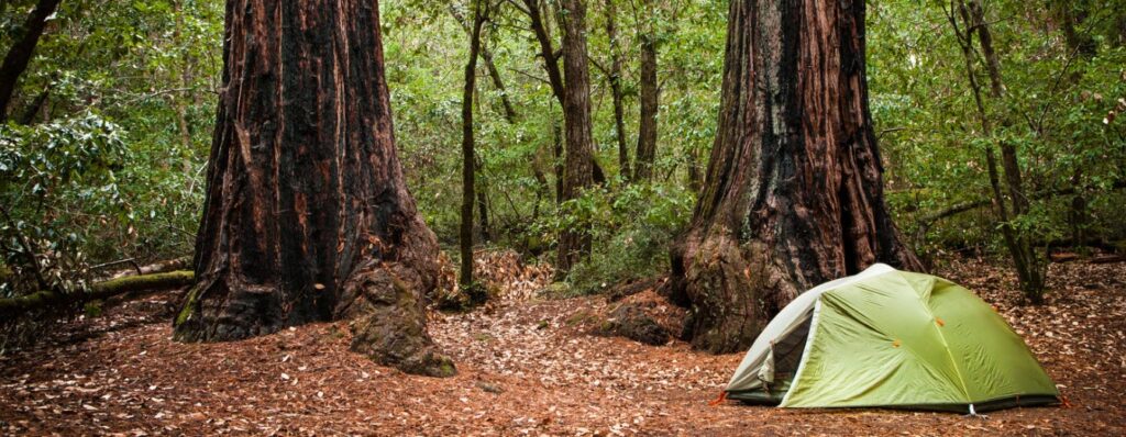 Best Camping Spots in Northern California - Big Basin Redwoods State Park