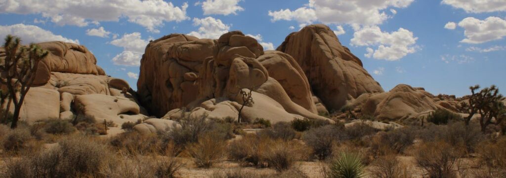 Best Camping Spots in Southern California - Jumbo Rocks Campground