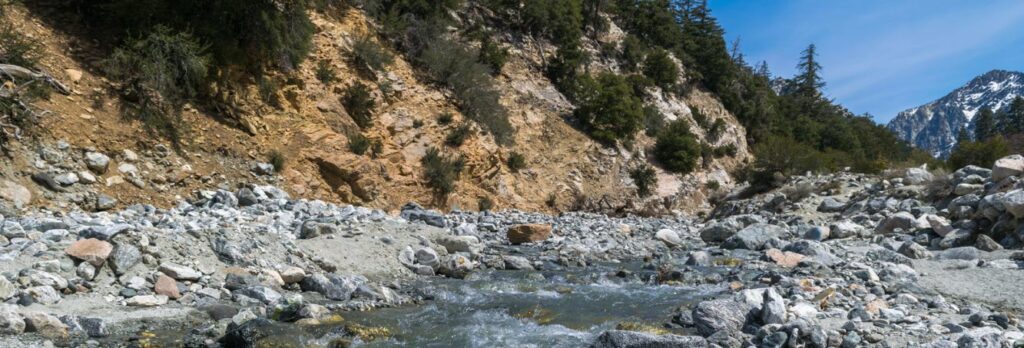 Best Camping Spots in Southern California - San Bernardino National Forest