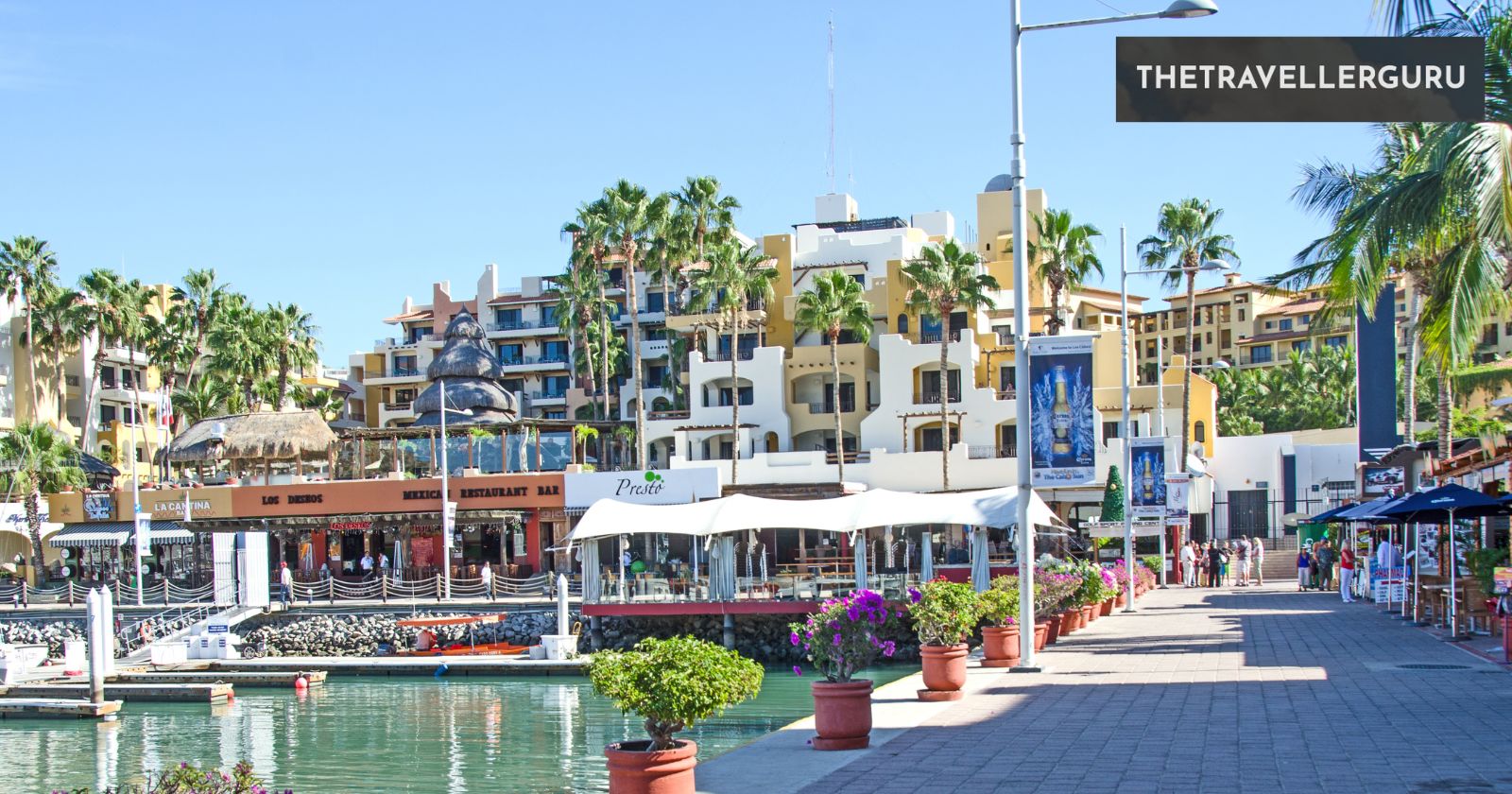 7 Best Cruises from Los Angeles