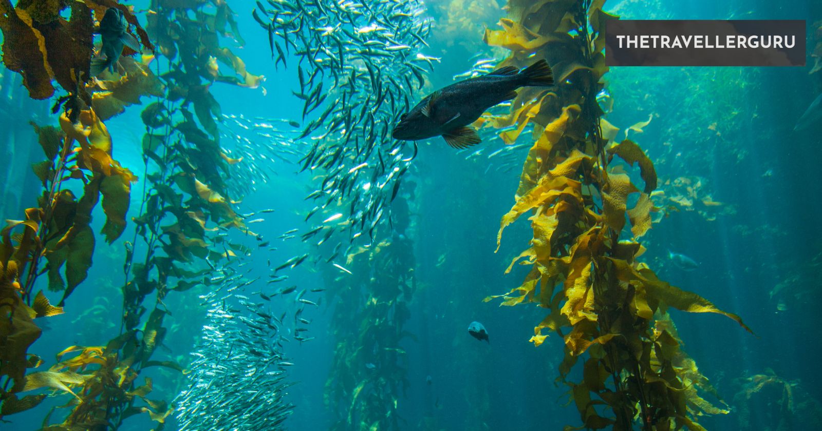 16 Best Fishing Spots in California