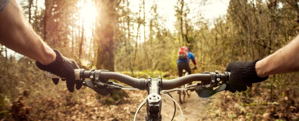 Best Mountain Biking Trails in California - Trail in forest