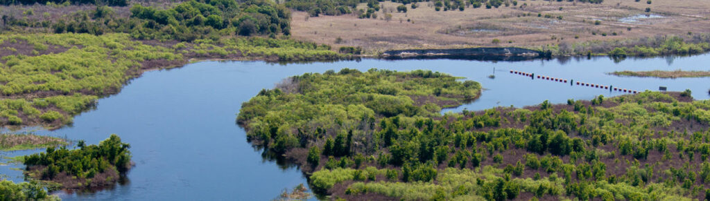 Best Hiking Trails in Florida - Kissimmee Chain of Lakes