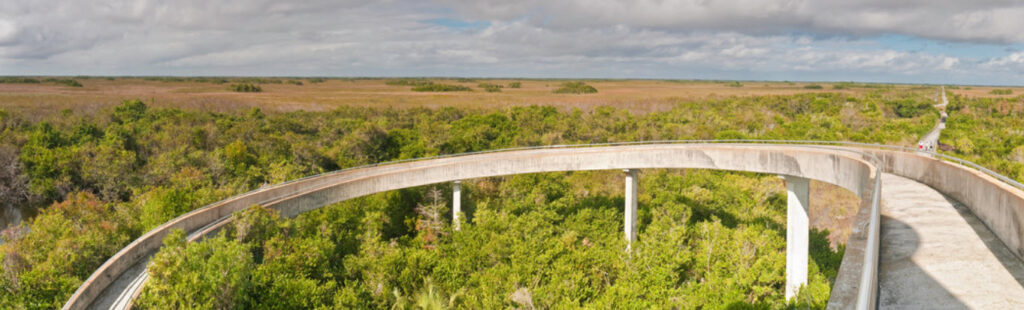 Best Hiking Trails in Florida - The Shark Valley Trail