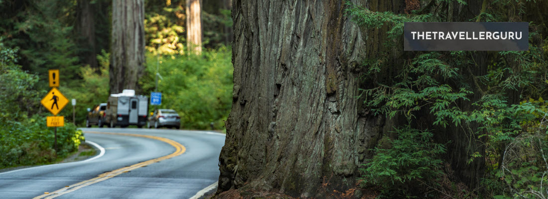 Best Road Trips In Northern California - Header