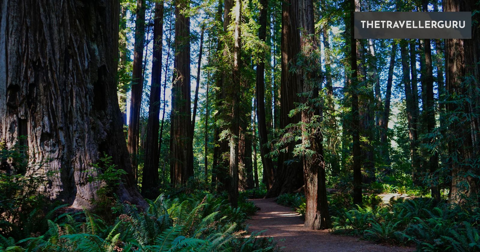 6 Best Road Trips in Northern California