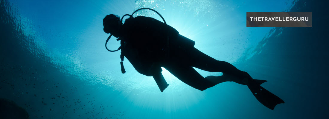 Best Spots in California for Scuba Diving - Header