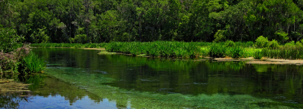 Florida Travel Guide - Ichetucknee Springs State Park