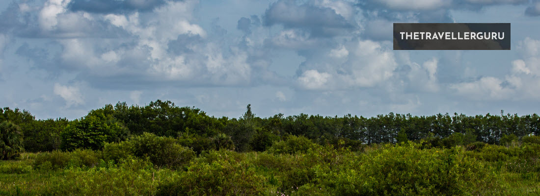 best hiking trails in florida - header