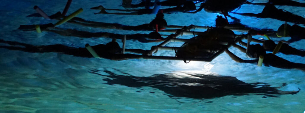best tours in Hawaii - Night Manta Ray Adventure