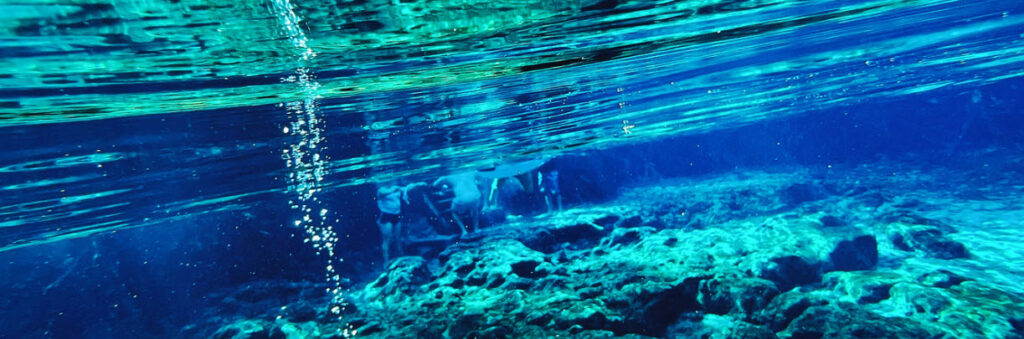 Best Places to Scuba Dive in Florida - Ginnie Springs