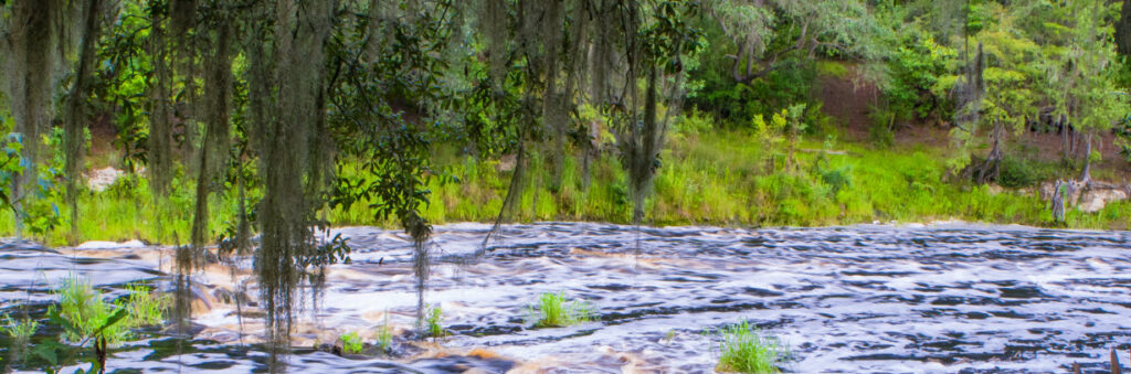 best waterfalls in Florida - Big Shoals State Park
