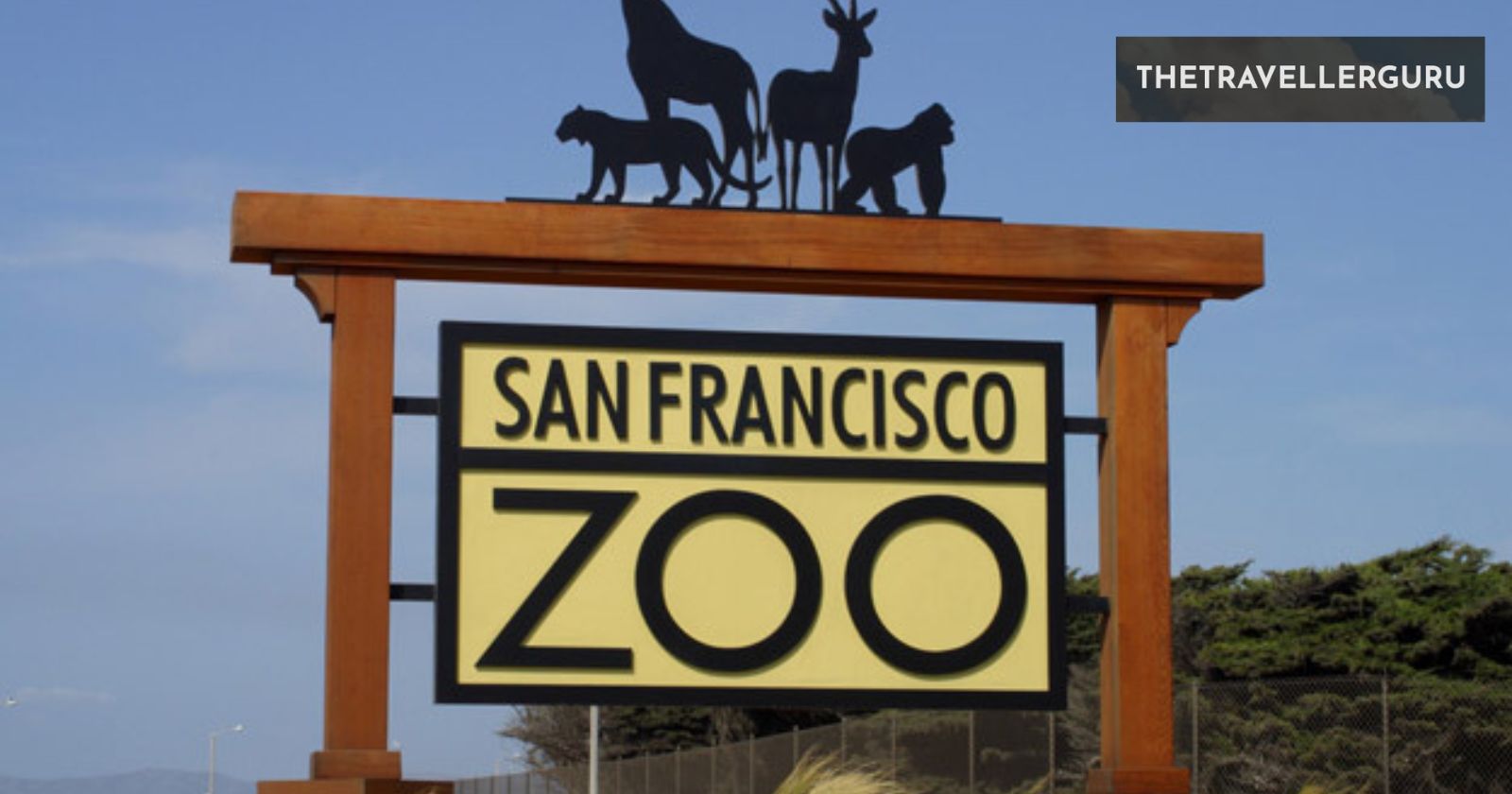 10 Best Zoos in California