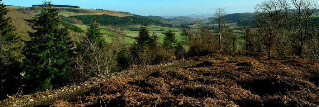 Best Hiking Trails in Wales - Knighton Wales