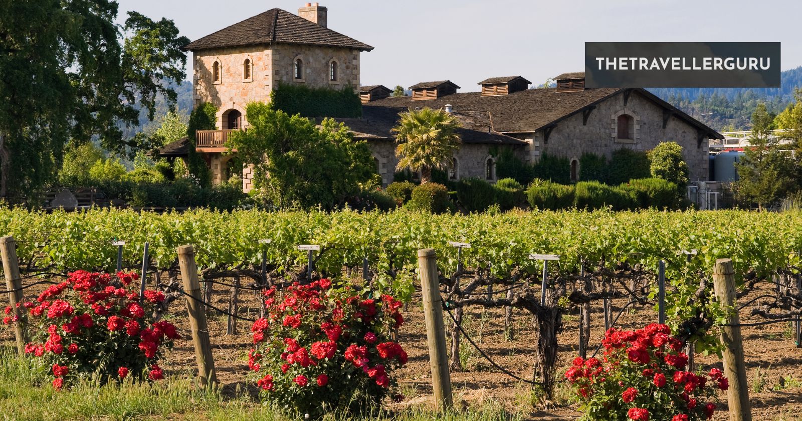 10 Best Wineries in Napa Valley
