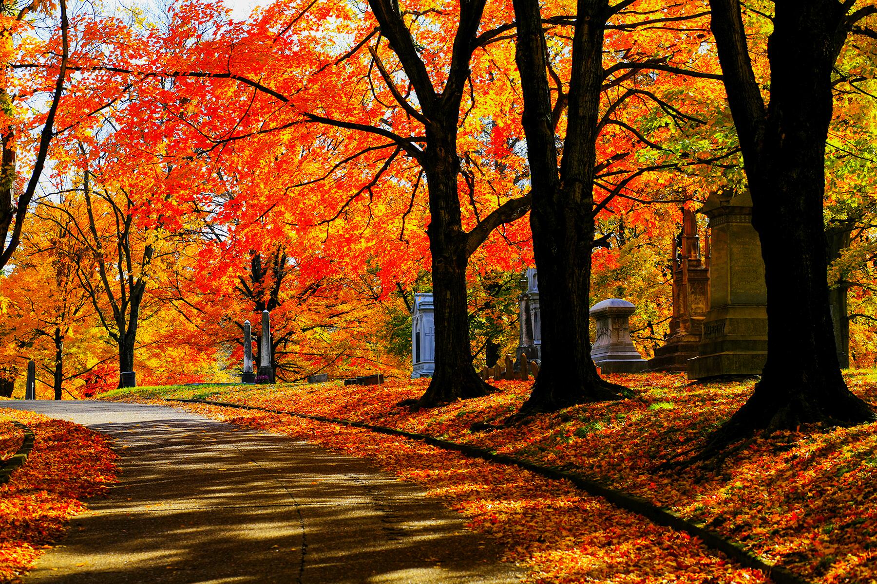 North America – A Colorful Journey