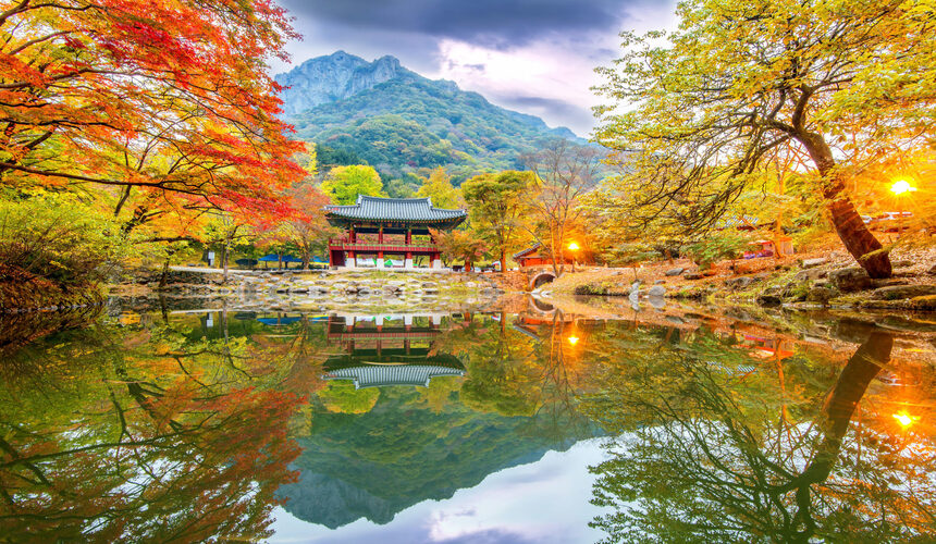 Autumn in Asia – Must-Visit Destinations to Experience the Fall Colors